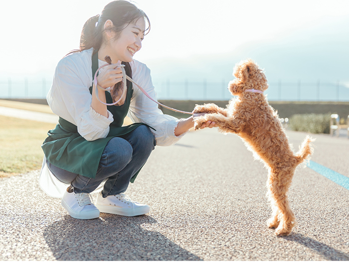 ペットシッター